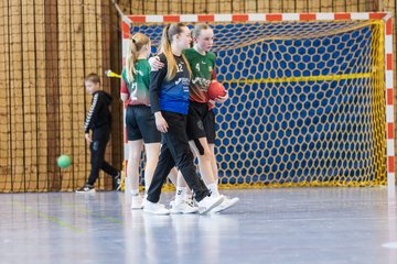 Bild 184 - wDJ HSG Kremperheide/Muensterdorf - TSV SR Schuelp : Ergebnis: 26:5